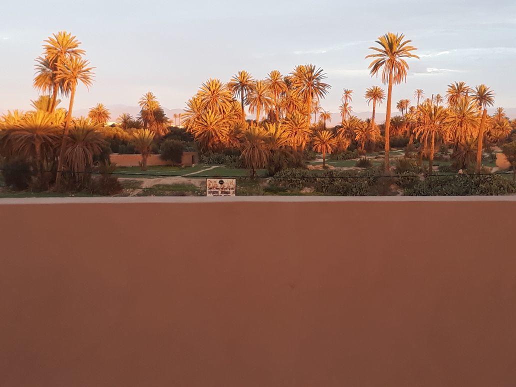 Riad Janoub Tiznit Exteriör bild