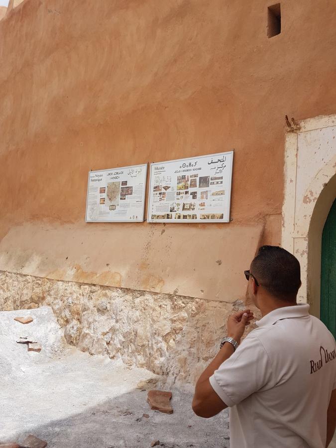 Riad Janoub Tiznit Exteriör bild